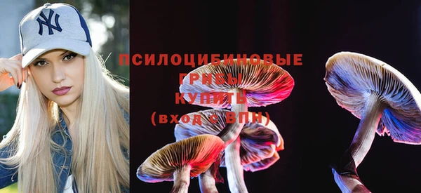 ешки Куйбышев